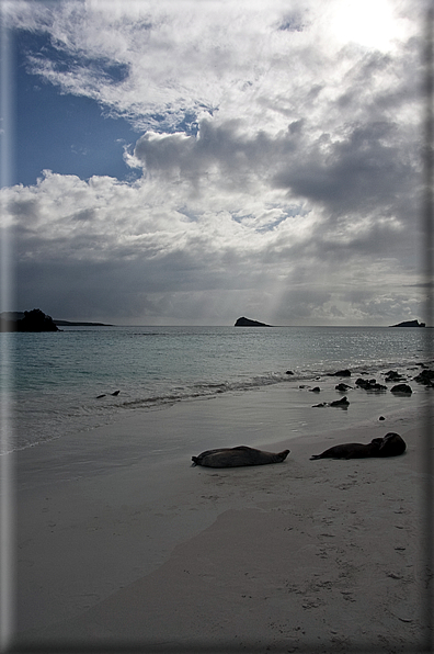 foto Isole Galapagos